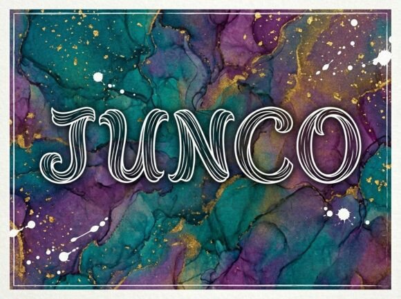 Junco Typeface: Fluid Display Fonts for Branding