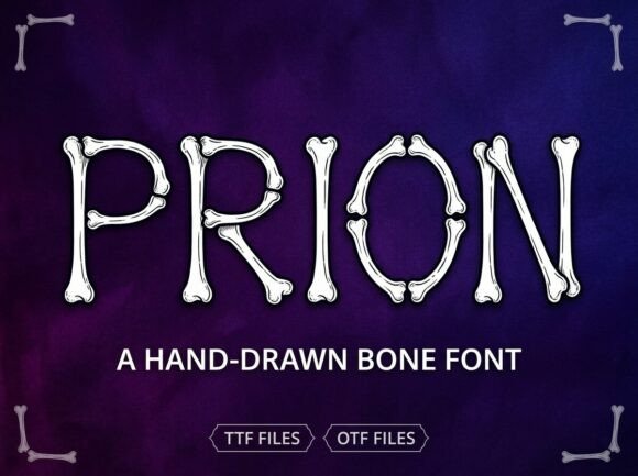 Prion Display Font for Modern Web Design